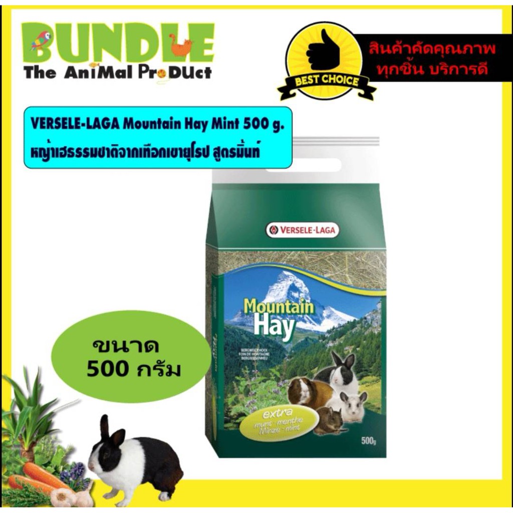 versele-laga-mountain-hay-mint-500-g-หญ้ากระต่าย-หญ้าหนู-หญ้ายุโรป-หญ้าเฮธรรมชาติจากเทือกเขายุโรป-สูตรมิ้นท์-500-กรัม