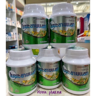 ภาพขนาดย่อของภาพหน้าปกสินค้ามะขามแขก แคปซูล ช่วยระบาย  พร้อมส่ง จากร้าน home_pharmacy บน Shopee