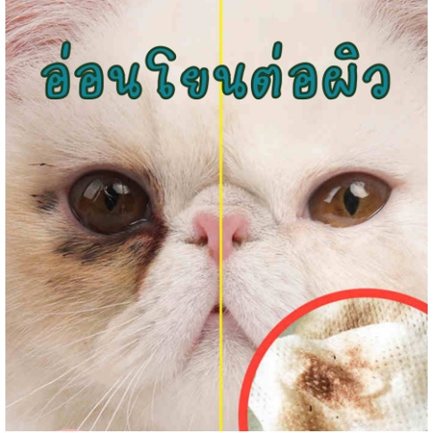 ภาพสินค้าพร้อมส่ง แผ่นเช็ดตาสุนัขและแมว ทิชชู่เปียกเช็ดคราบน้ำตา ผ้าเช็ดทำความสะอาดเปียก บรรจุ 130 แผ่น เช็ดคราบน้ำตาน้องหมา/แมว จากร้าน jipata_by_namwarn บน Shopee ภาพที่ 1