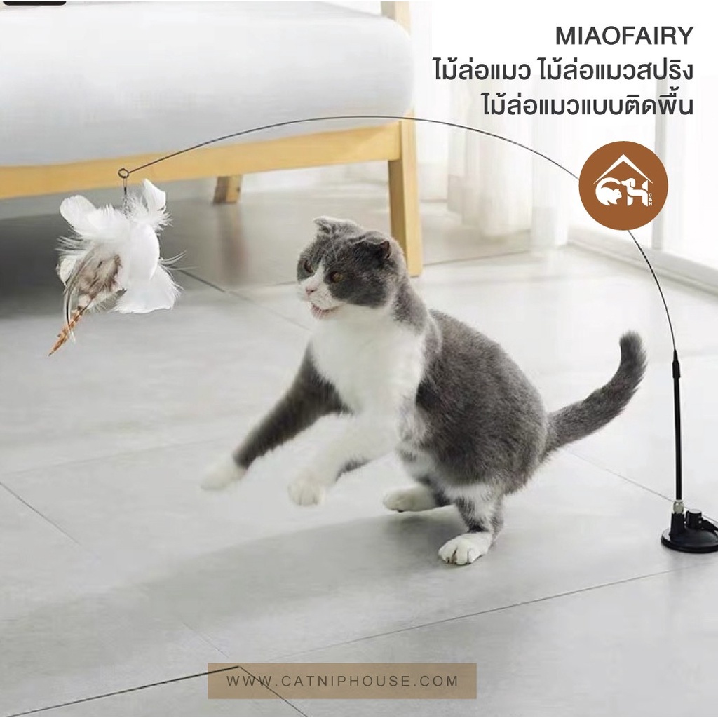 ของแท้-ถูกสุด-พร้อมส่ง-miaofairy-ไม้ล่อแมว-ไม้ล่อแมวสปริง-ไม้ล่อแมวแบบติดพื้น