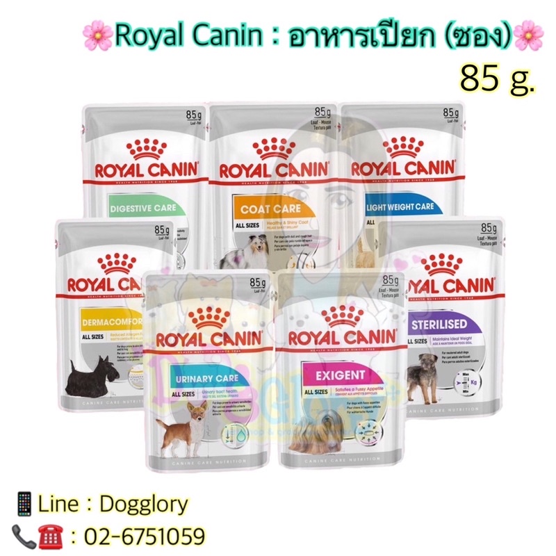 royal-canin-อาหารเปียกหมา-แบ่งขาย-แบบซอง-care