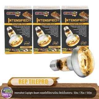 Reptile Pro Intensified Daylight Beam หลอดไฟแสงกลางวัน สัตว์เลื้อยคลาน