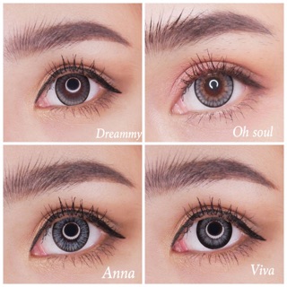 บิ๊กอาย สีเทา Bigeye Gray คอนแทคเลนส์ เทา Contact Lens Gray 💖 Kitty Kawaii Dreamy Oh Soul Anna Viva ลายขายดี ลายหายาก