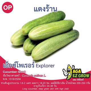 เมล็ดพันธุ์ แตงร้าน เอ็กซ์โพเรอร์ บรรจุ 3 กรัม[โปรโมชั่น ซื้อ10ซอง แถมฟรี 1ซอง]