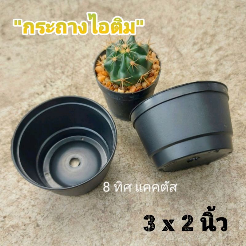 ภาพหน้าปกสินค้ากระถาง ไอติม 3 นิ้ว // กด 100 ใบ 230 บาท -- กระถาง 3 นิ้ว -- กระถางพลาสติก กระถางแคคตัส กระบองเพชร