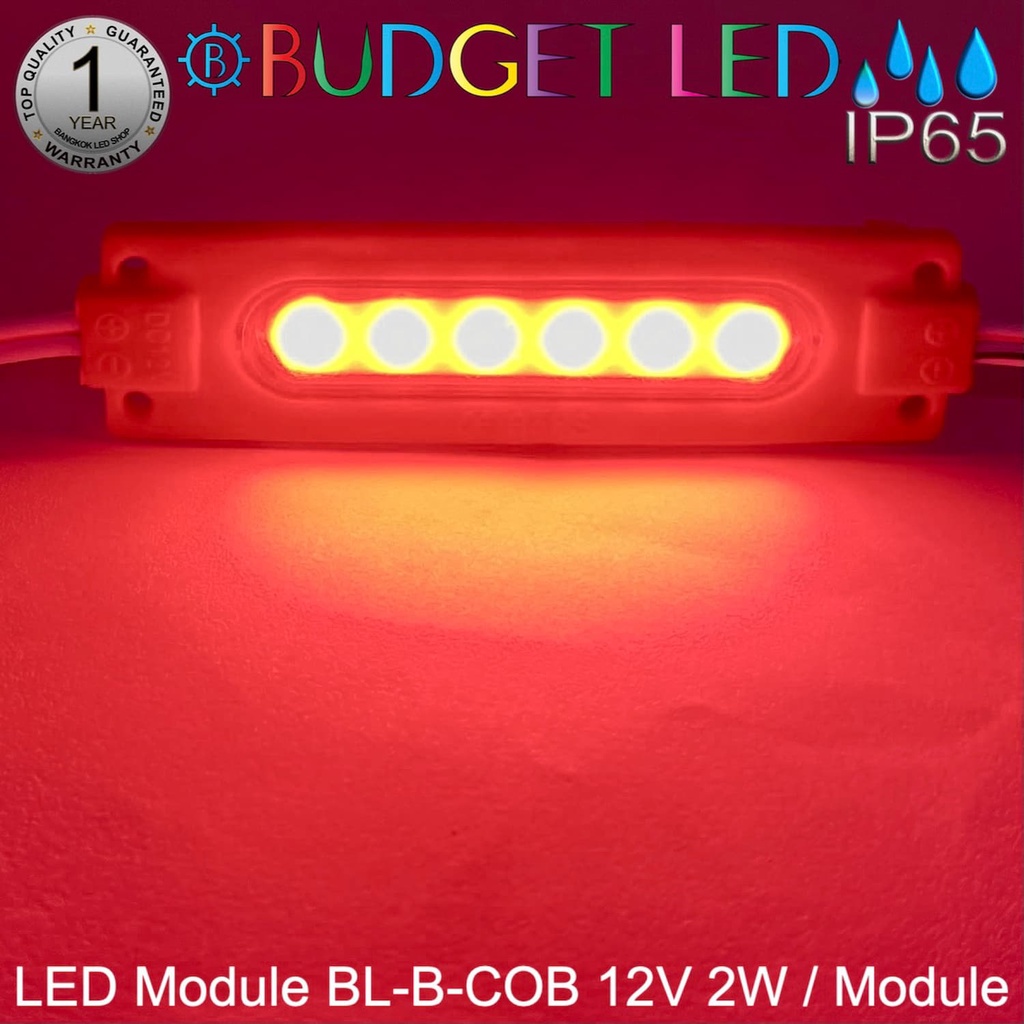 LED Module BL-B-COB DC-12V 2W/Module 40W/Panel แอลอีดีโมดูลกันน้ำ IP65 ...