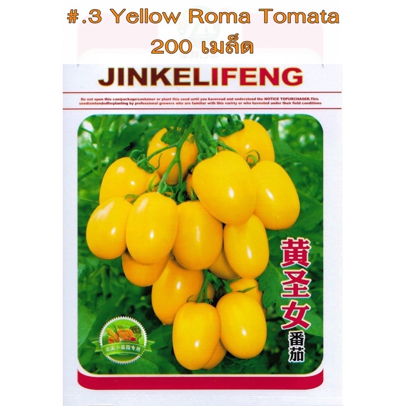 เมล็ด มะเขือเทศ เชอรรี่ เหลือง *** Yellow Roma Tomato สายพันธุ์ OP ...