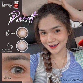 Penut gray Lovelylens บิ๊กอายสีเทา ใส่สวยสบายตา ป้องกันแสง Penut gray นำเข้าจากเกาหลี