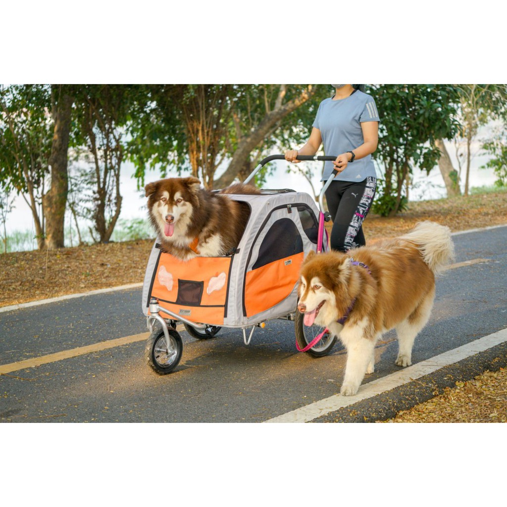 Best HD Pictures about  Petego Comfort Wagon L  with No AI Images