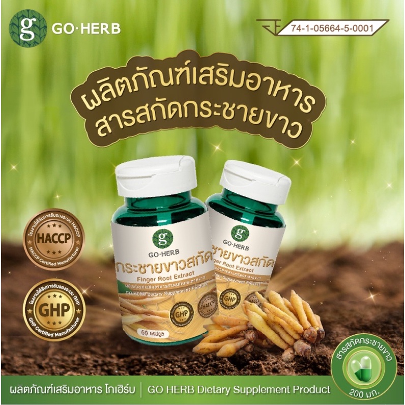 ภาพหน้าปกสินค้าพร้อมส่ง กระชายขาวสกัด ตราgoherb ต้านโควิด 19 ผลิตจากสมุนไพรไทย ปลอดภัย 60เม็ด ได้มาตรฐานการผลิต จากร้าน allusingstuff บน Shopee