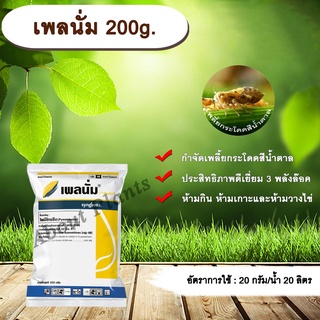 เพลนั่ม 200g. ไพมีโทรซีน สารกำจัดแมลง เพลี้ยกระโดดสีน้ำตาล กำจัดเพลี้ย เพลี้ยกระโดดในนาข้าว allaboutplants