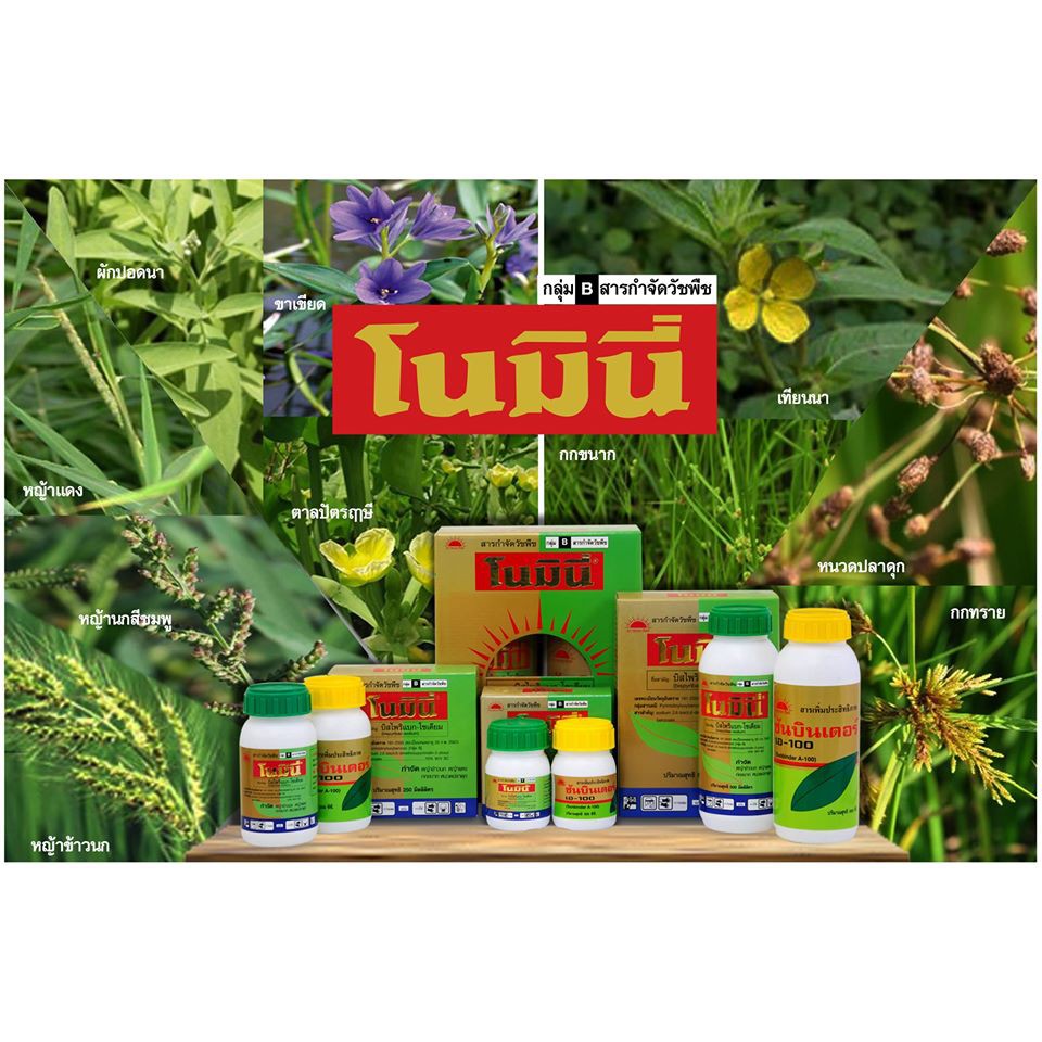โนมินี่-ซันบินเดอร์-500ml-500ml-บิสไพริแบกโซเดียม-สารกำจัดวัชพืช-กำจัดหญ้า-ในนาข้าว-กำจัดหญ้าแดง-หญ้ากระดูกไก่