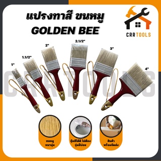 แปรงทาสีขนหมู ขนขาว ขนหนา ยี่ห้อ GOLDEN BEE / XYZ