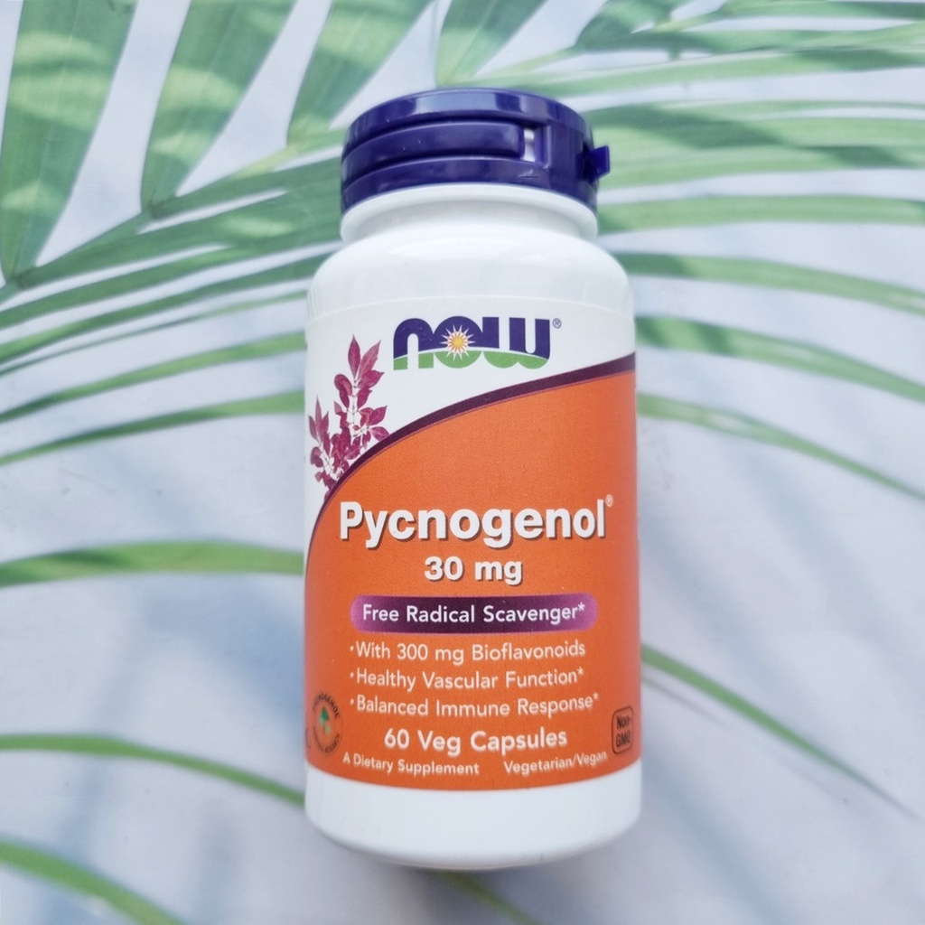 Pycnogenol สารสกัดจากเปลือกสนฝรั่งเศส 30 mg 60 Veggie Caps (Now Foods ...