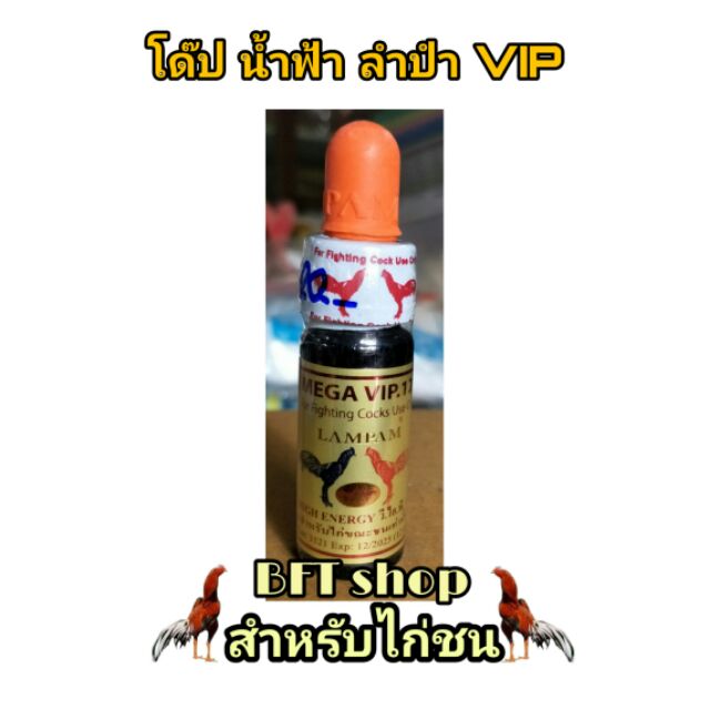 โด๊ปน้ำฟ้า-ลำปำvip123