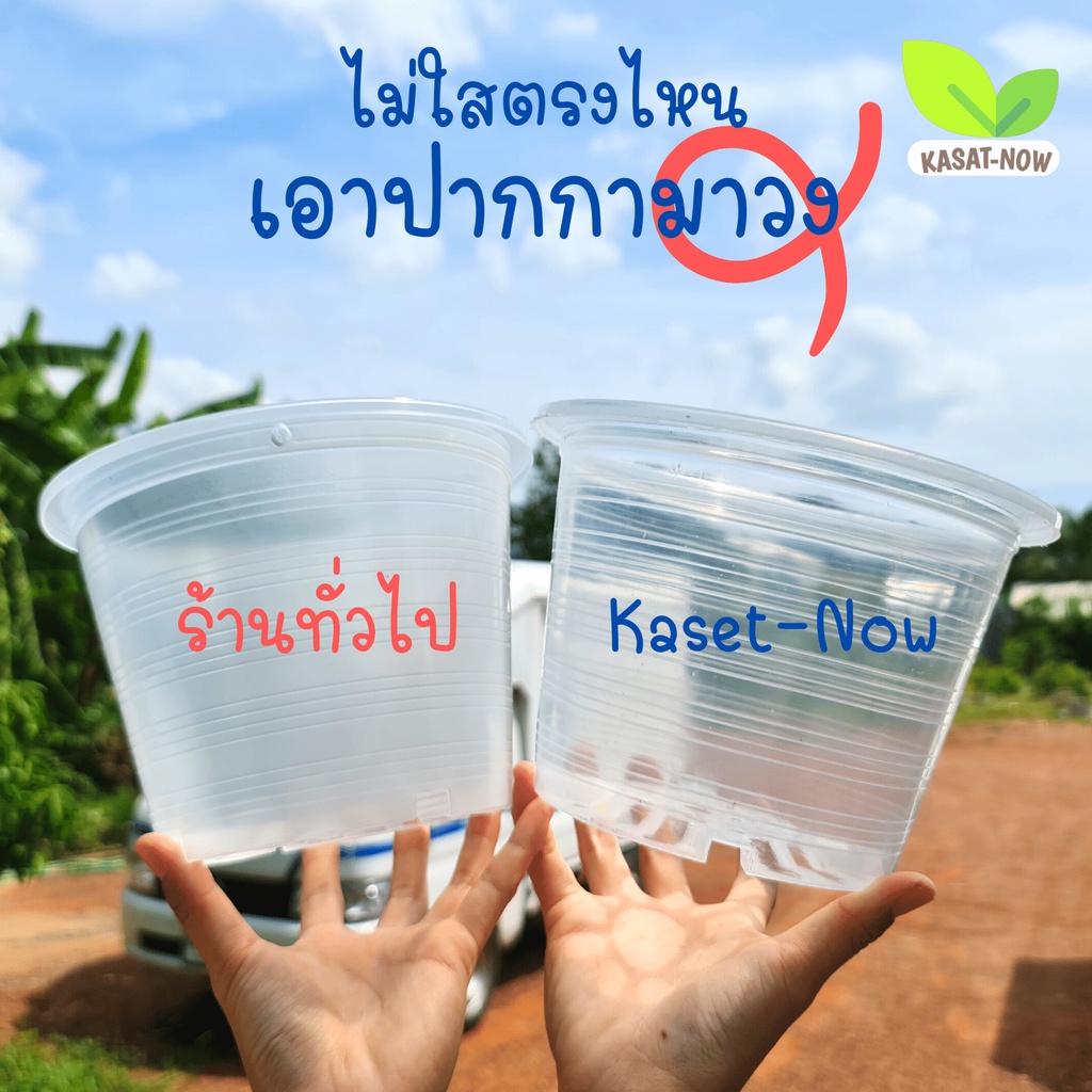 ภาพหน้าปกสินค้ากระถางใส กว่า ใสจนมองไม่เห็น กระถางส่องราก Transparent Tree pot จากร้าน kasetnow2020 บน Shopee