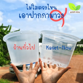 ภาพขนาดย่อของภาพหน้าปกสินค้ากระถางใส กว่า ใสจนมองไม่เห็น กระถางส่องราก Transparent Tree pot จากร้าน kasetnow2020 บน Shopee