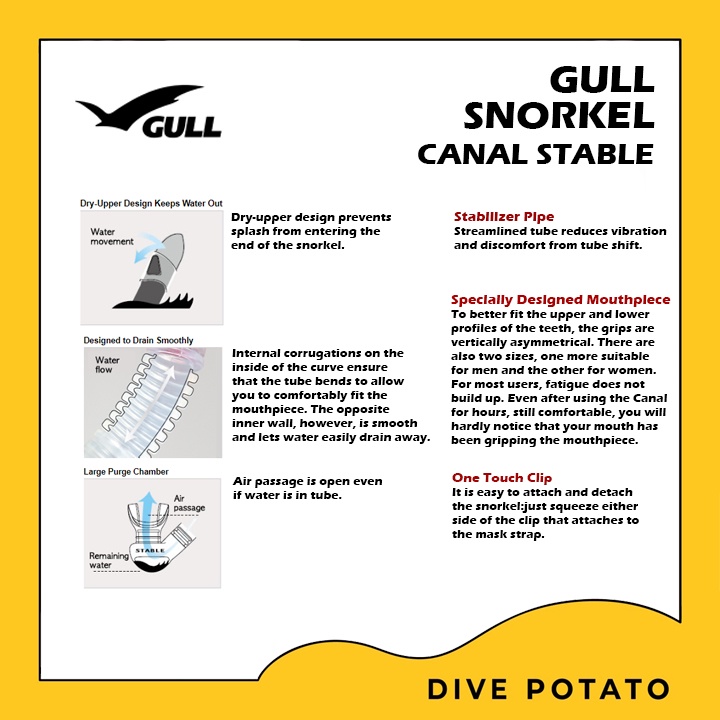 gull-canal-stable-snorkel-สน็อกเกิ้ลสำหรับดำน้ำ