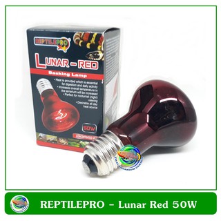 ภาพหน้าปกสินค้าหลอดไฟให้แสงกลางคืนและความร้อนสำหรับสัตว์เลื้อยคลาน REPTILEPRO Lunar-Red Basking Lamp 50W (กล่องสีแดง) ซึ่งคุณอาจชอบราคาและรีวิวของสินค้านี้