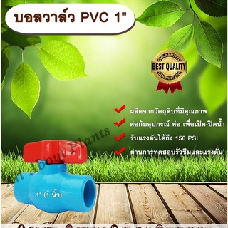 บอลวาล์ว PVC 1” (1 นิ้ว)   ประตูเปิดปิดน้ำ บอลวาล์วพีวีซี แบบสวม Ball Valve allaboutplants