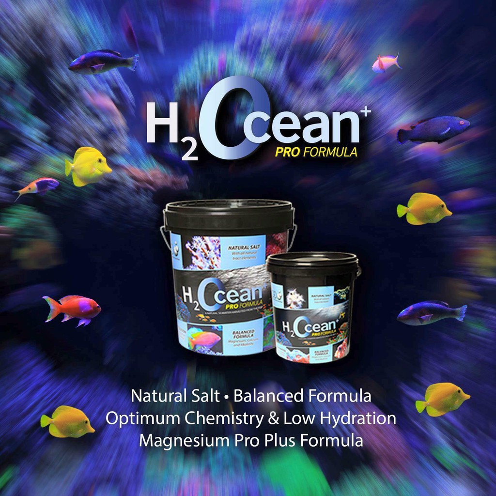 h2ocean-aquarium-marinesalt-เกลือสำหรับตู้ทะเล-23kg-ล็อตใหม่ล่าสุด-เกลือทำน้ำทะเล-เกลือคุณภาพสูงจากยุโรป-ทำน้ำได้700l