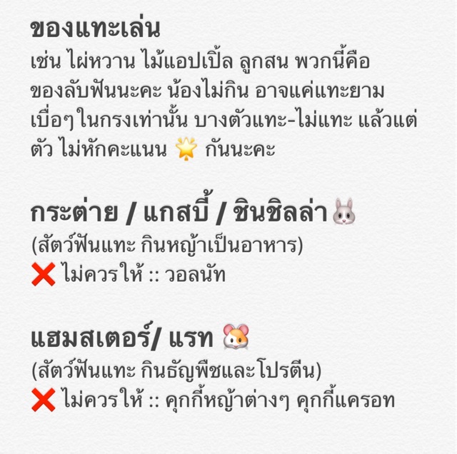 ภาพหน้าปกสินค้าร้านโทโมะ (ขั้นต่ำ 50บาท ️) วอลนัท ลูกสน ไม้แอปเปิ้ล ไผ่หวาน ลับฟัน แฮมสเตอร์ ชินชิลล่า กระต่าย เจอร์บิล กระรอก จากร้าน tomopet บน Shopee