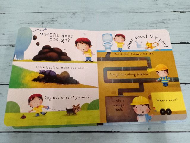 new-usborne-lift-the-flap-what-is-poo