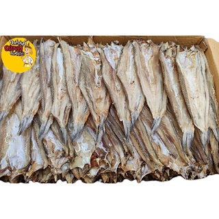 ภาพหน้าปกสินค้าปลาช่อนทะเล (จืด)ไล้กอ บรรจุ500 กรัม อร่อยมาก ไม่เค็ม ซึ่งคุณอาจชอบราคาและรีวิวของสินค้านี้