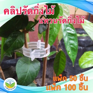 สินค้า คลิปรัดกิ่งไม้ แหวนรัดกิ่งไม้ Plant support clip แหวนรัดกิ่งพืชผักสวนครัว