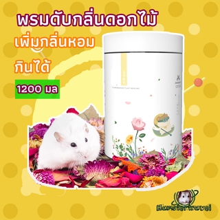 ภาพหน้าปกสินค้า【hamstertravel】สัตว์เลี้ยงพืชเสื่อวัสดุดับกลิ่นแฮมสเตอร์แผ่นทองหมีรังวัสดุฉากกินขี้เลื่อยดอกไม้แห้งในฤดูร้อนH ที่เกี่ยวข้อง