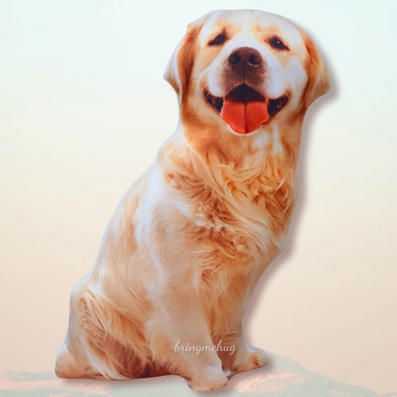 หมอนอิงพิมพ์ลายน้องหมา-golden-retriever-ขนาด-50ซม-หมอน3d-หมอน3มิติ-หมอนหมา-หมอนน่ารัก-หมอนหมานุ่มนิ่ม-หมอนนุ่มน่ากอด