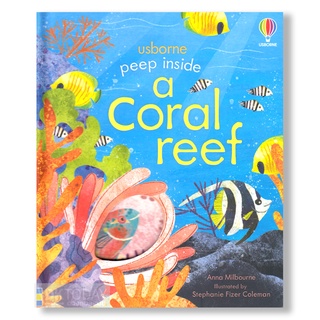 DKTODAY หนังสือ USBORNE PEEP INSIDE A CORAL REEF