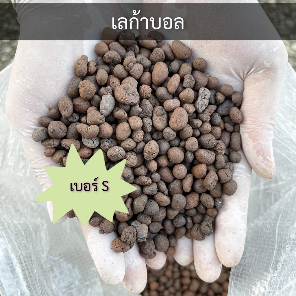 เลก้าบอล-ดินเผามวลเบา-ส่งฟรี-leca-ball-วัสดุปลูกไม้ใบ-ไม้ด่าง-ไม้ฟอกอากาศ-ใช้รองก้นกระถาง-ผสมดินปลูก-โรยหน้ากระถาง