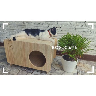 กล่องแมว/ที่นอนแมว/บ้านแมว รุ่น มูจิ ไซส์ L