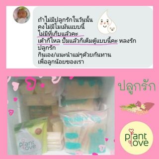 ภาพขนาดย่อของภาพหน้าปกสินค้าขายส่ง ชาเพิ่ม&กู้น้ำนม ปลูกรัก  PlantLove พร้อมส่ง จากร้าน khwanprachyaphan บน Shopee