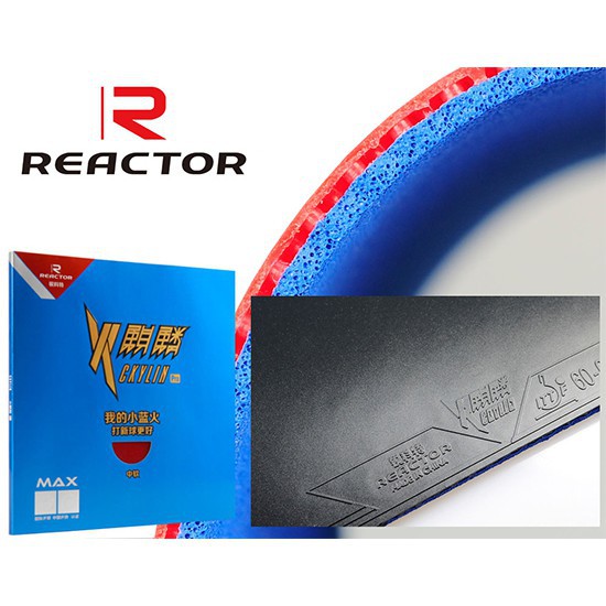 ยางปิงปอง-reactor-รุ่น-ckylin-2