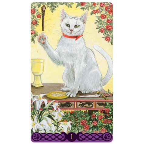 pagan-cat-tarot-แบบไร้ขอบ-ไพ่ยิปซีแท้ลดราคา-ไพ่ยิปซี-ไพ่ทาโร่ต์-ไพ่ออราเคิล-tarot-oracle-card-deck