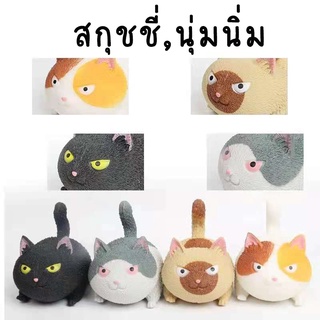 ตุ๊กตาน้องแมวยืดได้หดได้ ราคาส่ง เล่นคลายเครียด บีบเล่นแก้เครียดได้ แมวยืด ของเล่นคลายเครียด ของเล่นผ่อนคลาย