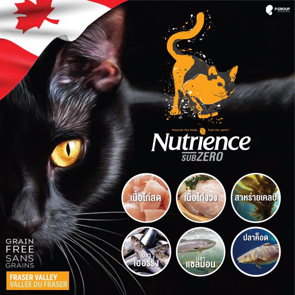 โปรตีนสูง-ขนสวย-กินง่าย-อาหารแมว-nutrience-subzero-fraser-valley-grainfree-และ-canadian-pacific-5kg