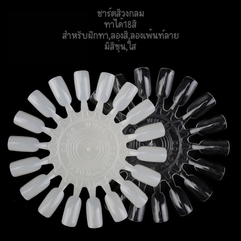 ชาร์ตโชว์สี-ชาร์ตสี-แผ่นกลม-10-แผ่น