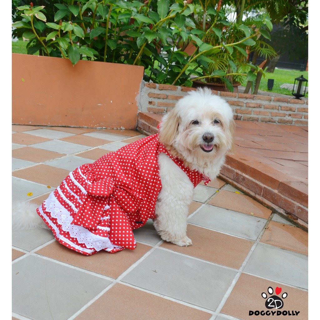 pet-cloths-doggydolly-เสื้อผ้าแฟชั่น-เสื้อผ้าสัตว์เลี้ยง-เสื้อผ้าหมาแมว-ชุดกระโปรง-d404