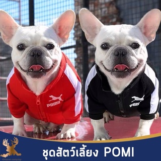 Pomi ชุดสัตว์เลี้ยง เสื้อผ้าสัตว์เลี้ยง ชุดกีฬาสัตว์เลี้ยง ชุดหมา ชุดแมว ผ้าโพลีเอสเตอร์