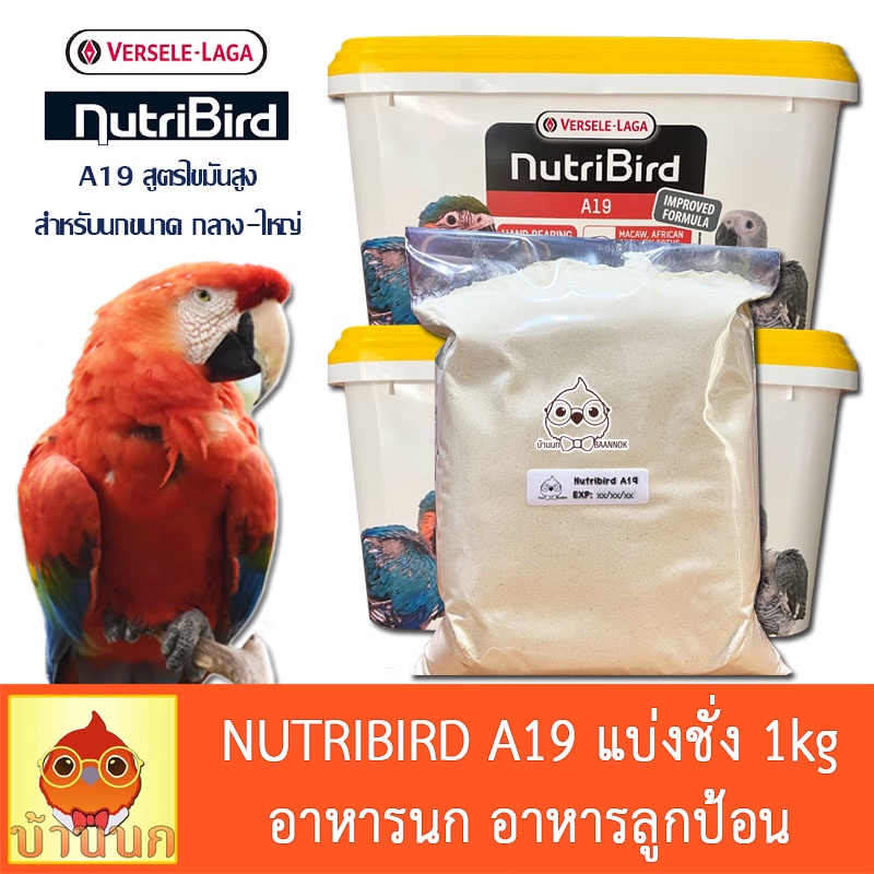 nutribird-a19-โฉมใหม่-แบ่งชั่ง-1kg-อาหารนกลูกป้อน-สำหรับลูกนกที่ต้องการพลังงานไขมันสูง-ลูกนก-ลูกป้อน