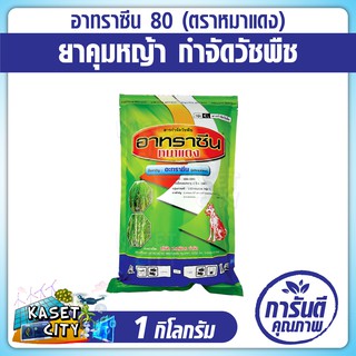 อาทราซีน 80 ตราหมาแดง (Atrazine 80 WP) 1 kg. ยาคุมหญ้า สารกำจัดวัชพืช กำจัด ศัตรูพืช อ้อย