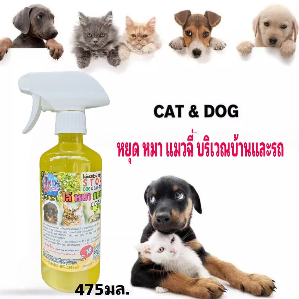 ไล่หมา-ไล่แมว-สเปรย์ป้องกันสุนัข-แมวขับถ่าย-สูตรเข้มข้น-475-2000-มล-ไล่หมาขี้-ไล่แมวขี้-ฝึกสุนัขขับถ่าย