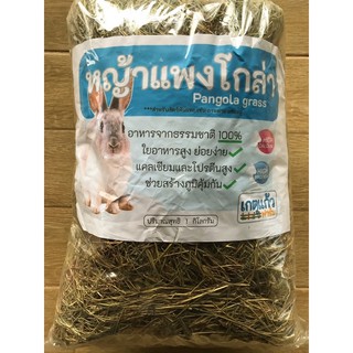 หญ้าแพงโกล่า 1 กิโลกรัม (Pangola grass 1 kg)