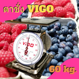 Premium Scale 60 KG Stainless VIGO Brand
