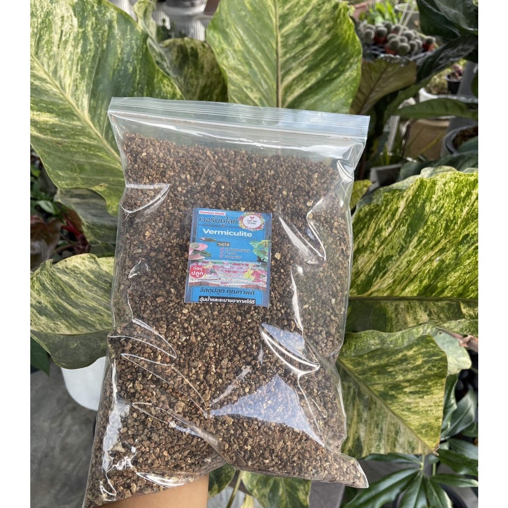 vermiculite-เวอร์มิคูลไลท์-วัสดุปลูก-เกรดนำเข้า-คุณภาพดี