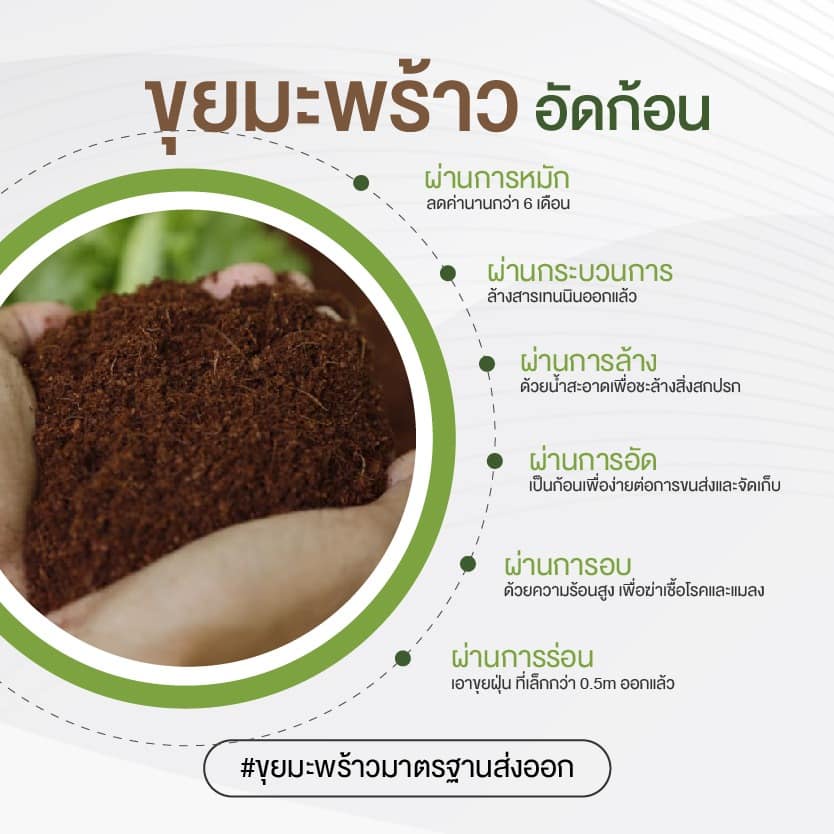 cocopeat-ขุยมะพร้าวอัดก้อน-ขนาด-400-กรัม-ราคาถูก-คุณภาพดี-100-เหมาะสำหรับเกษตรกรและคนรักต้นไม้