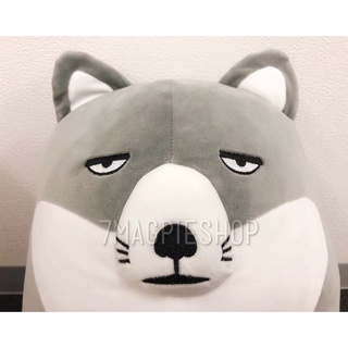 🇯🇵 ตุ๊กตาจิ้งจอก ทิเบต หายาก BUCHAKAWA ぶちゃかわ Tibetan Fox Big Plush ลิขสิทธิ์แท้ Nihon Auto Toy 35cm Toreba